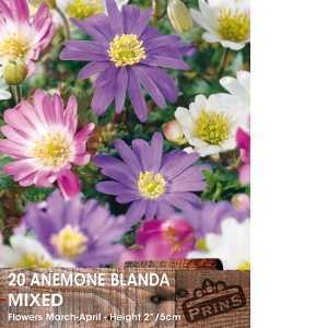 Anemone Blanda Mixed Bulbs 15 Per Pack