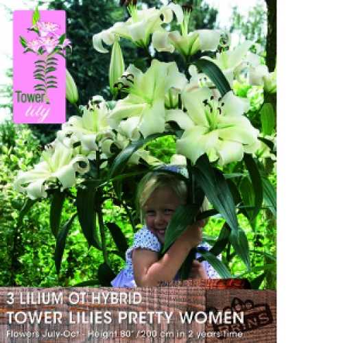 Tower Lillies